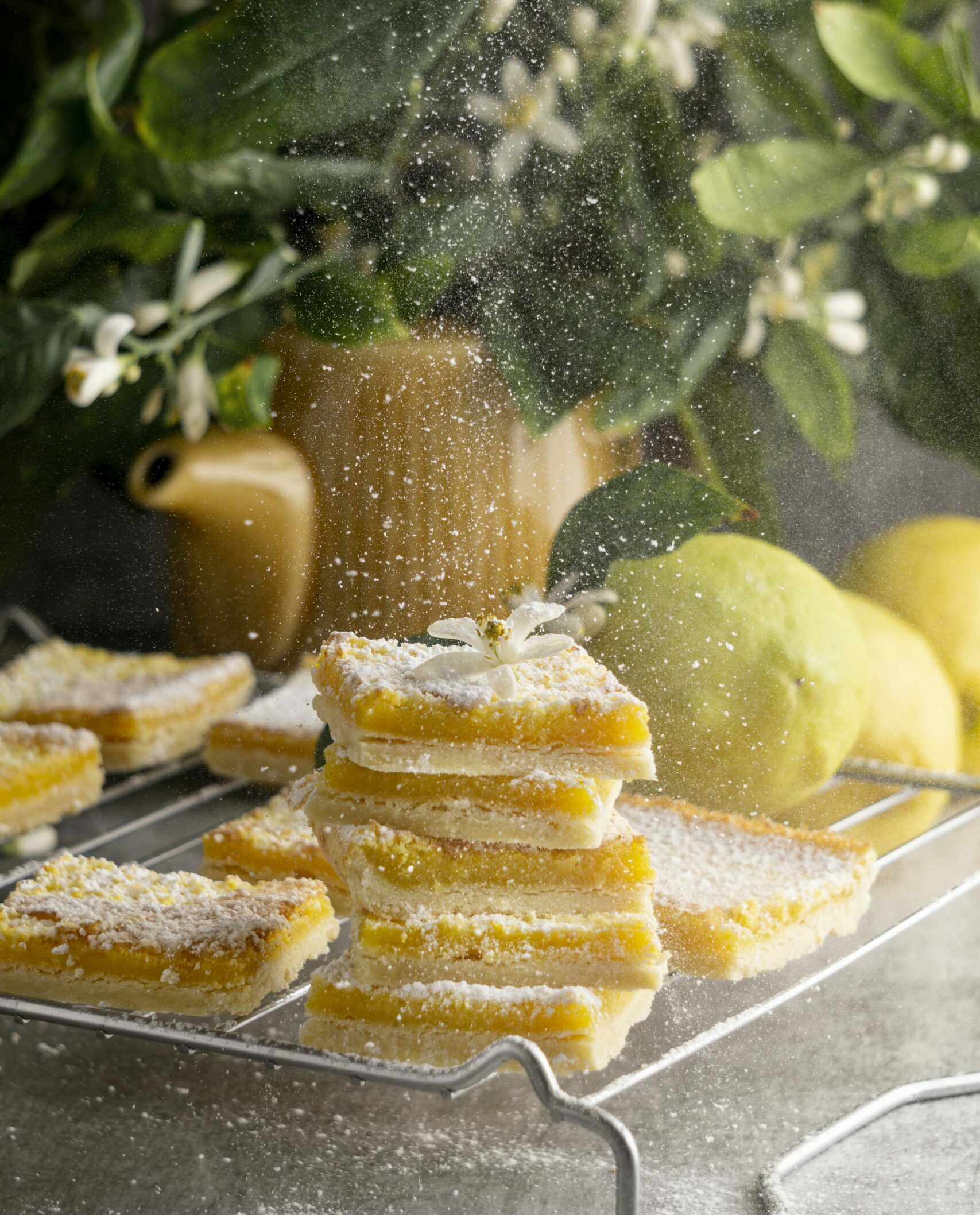 pâtisserie Sanguinet